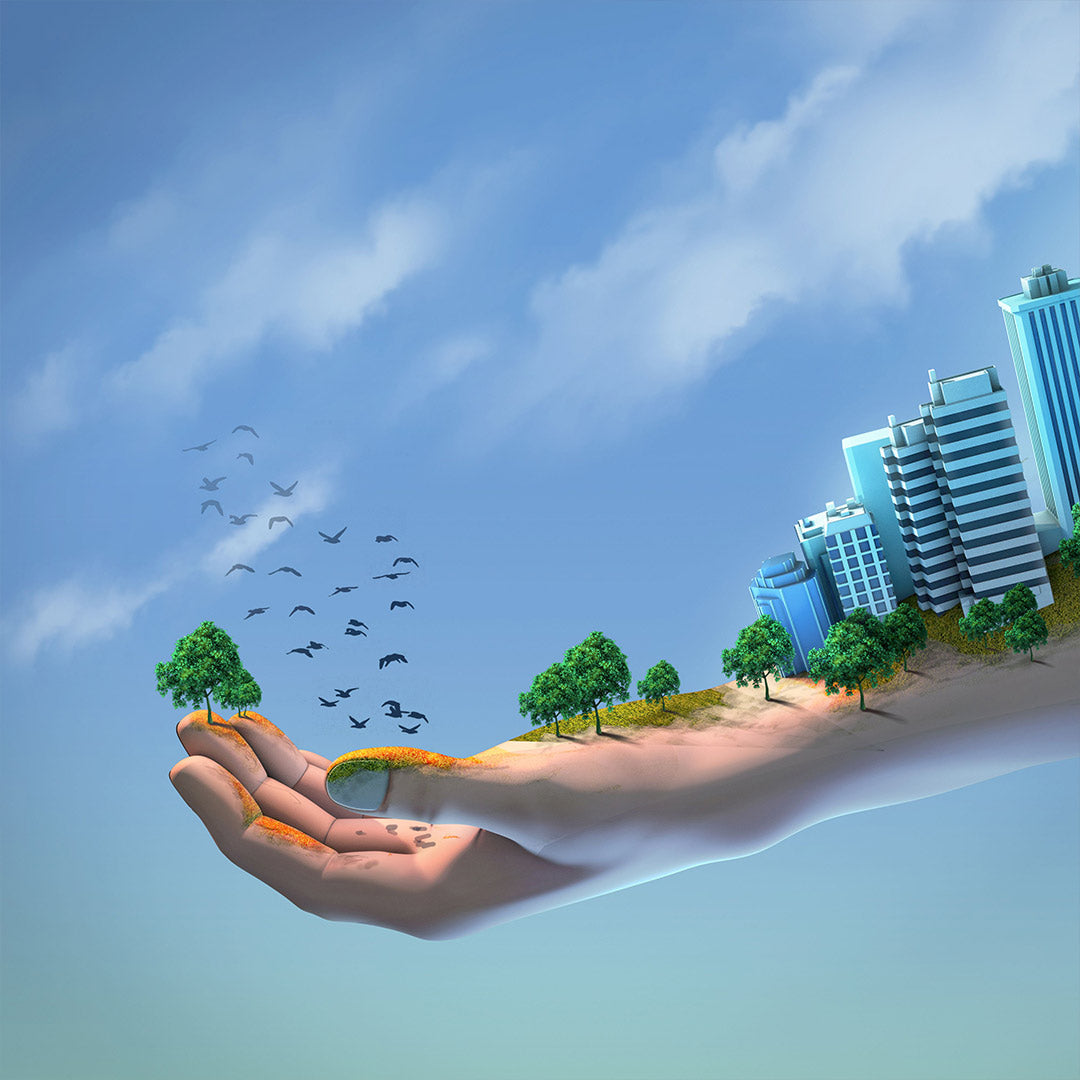 Sustainable Coffee -  Benefiting Our Farmers, Our Planet, And You