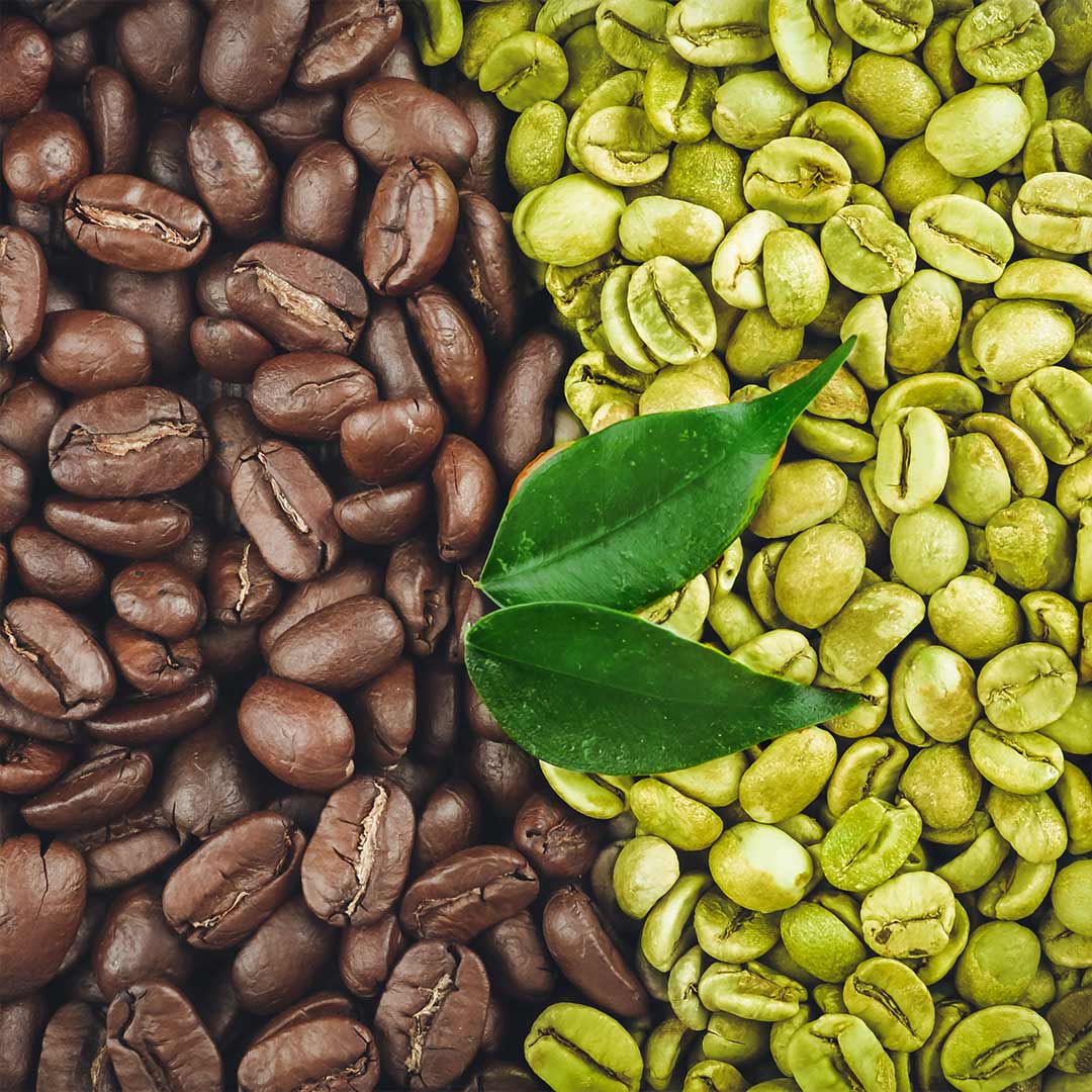 7 Key Differences Between Espresso Beans and Coffee beans Lifeboost