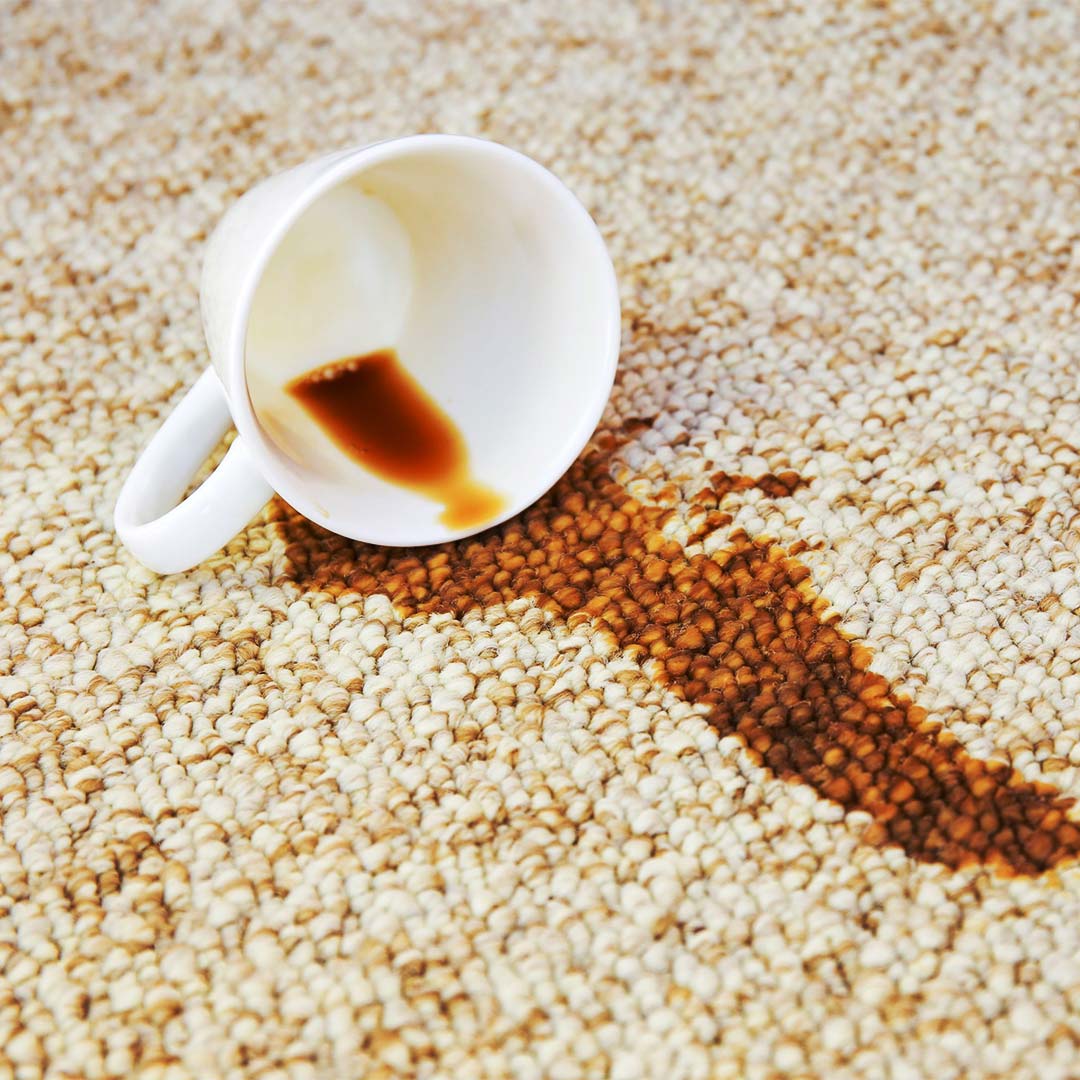 how-to-get-coffee-stains-out-of-carpet-the-best-way-lifeboost-coffee