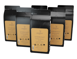 x6 Blonde Espresso