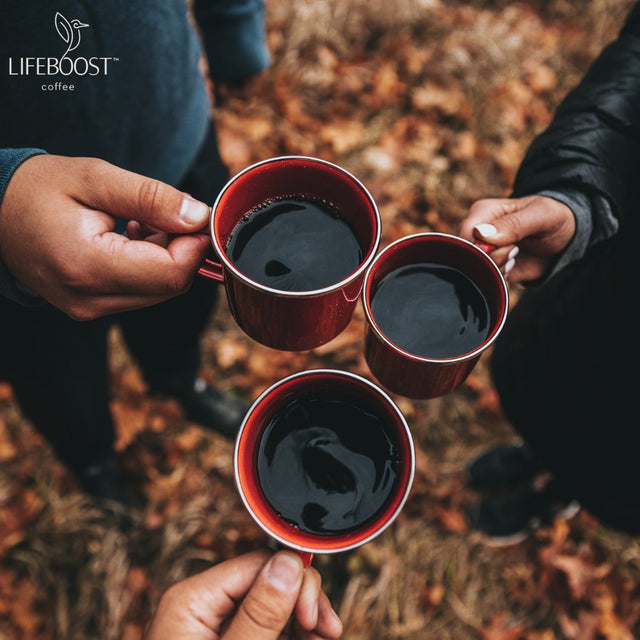 Southern Pecan - Lifeboost Coffee