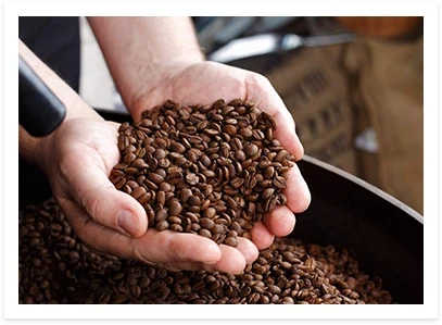 Specialty bean icon