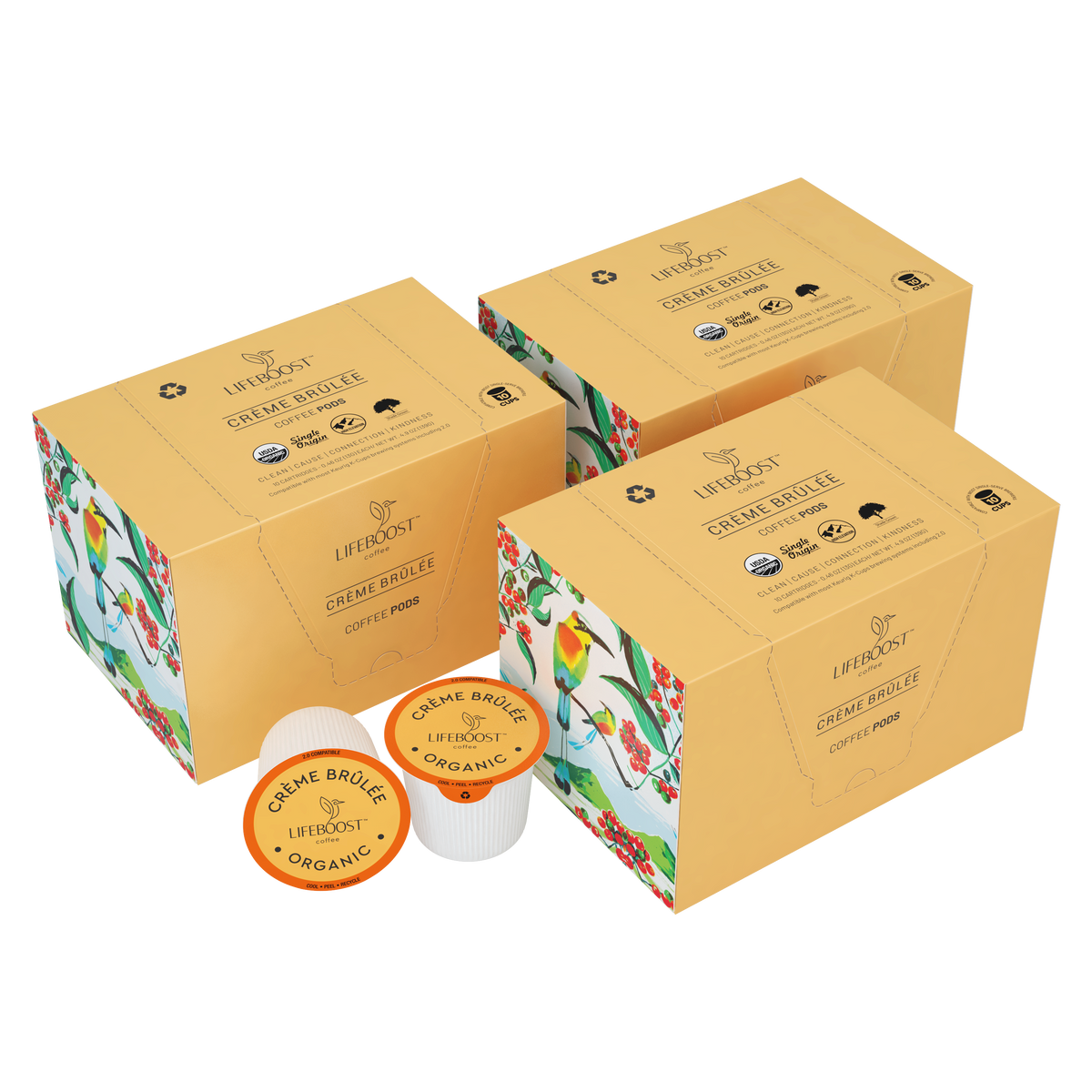 Creme Brulee Pods AllNatural, FlavorRich, Ethically Grown