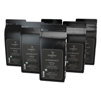 x6 Espresso