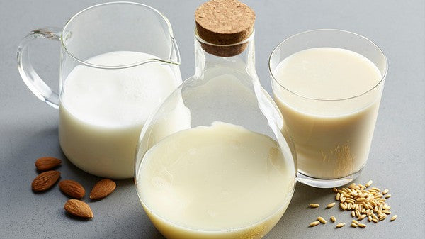 Got Plant Milk? Add These 16 Plant Milks To Your Mug For Health, Flavor, And Frothy Flair