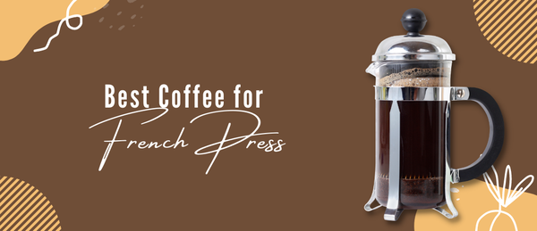 Best Coffee for French Press: Getting Into the Nitty Gritty