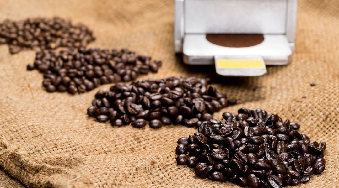 Discover the four types of coffee beans: pictures, profiles, and more