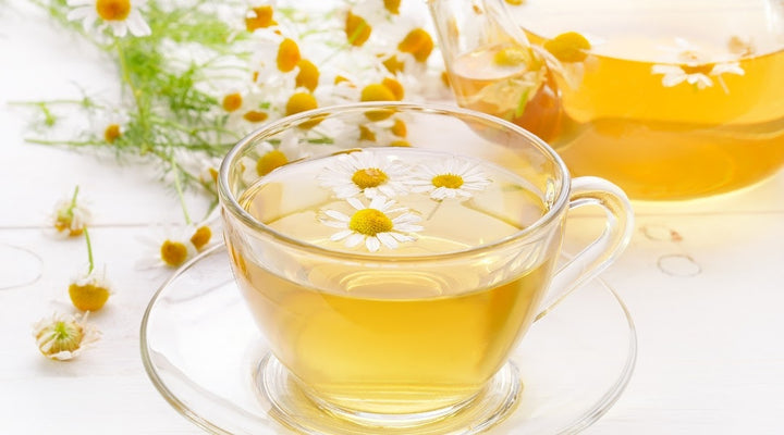 What Is Organic Chamomile Tea: Healing Powers and Health Benefits