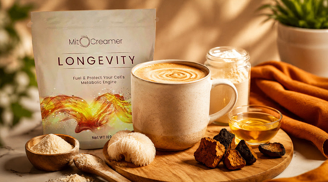 Fueling Focus, Energy, And More With The Lifeboost Longevity Latte