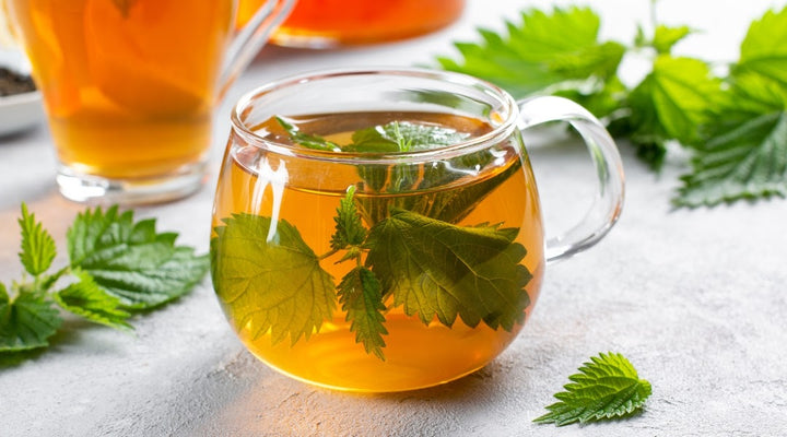 Organic Nettle Leaf Tea: Benefits, Uses, Side Effects and More