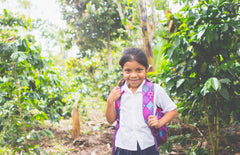 Lifeboost Coffee and Project Alianza: Closing the Rural-Urban Education Gap in Latin America