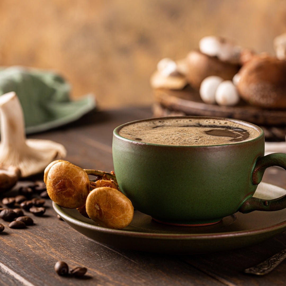 Everything You Need to Know About Mushroom Coffee: A Beginner’s Guide