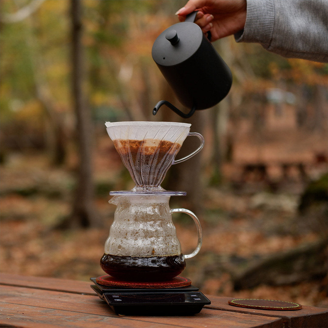 Pour Over Coffee Brewing Detailed Guide: How To Make The Perfect Cup o