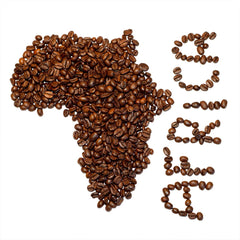 Lifeboost Africa’s Origin And Impact Affect Outcome In The Best Tasting Coffee Recipes