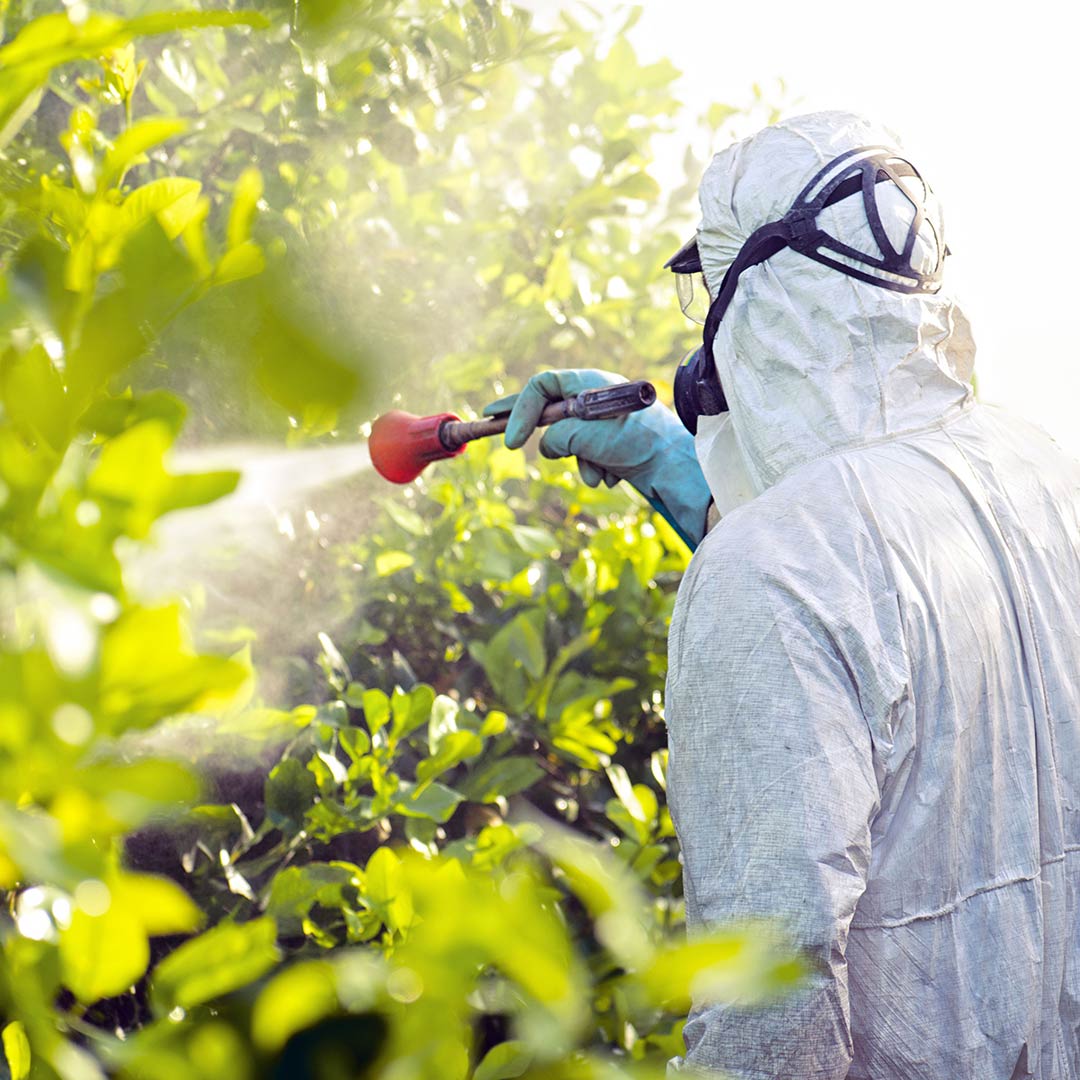 The Pesticide Problem - Are You Sipping On A Cup Of Joe, Or A Cup Of No?