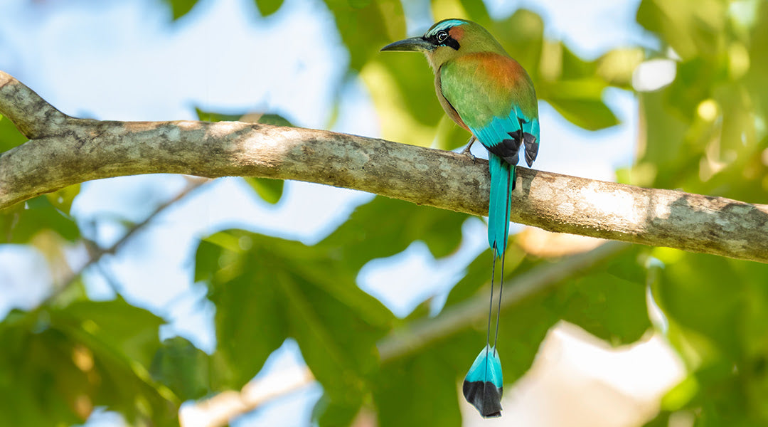 feature-images_8bc52a67-c311-