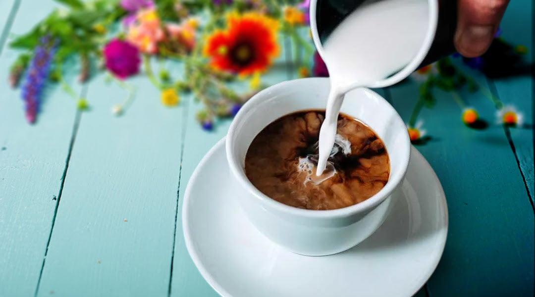 Can You Freeze Liquid Coffee Creamer?