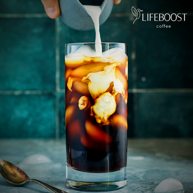 Cold Brew Grind - Lifeboost Coffee