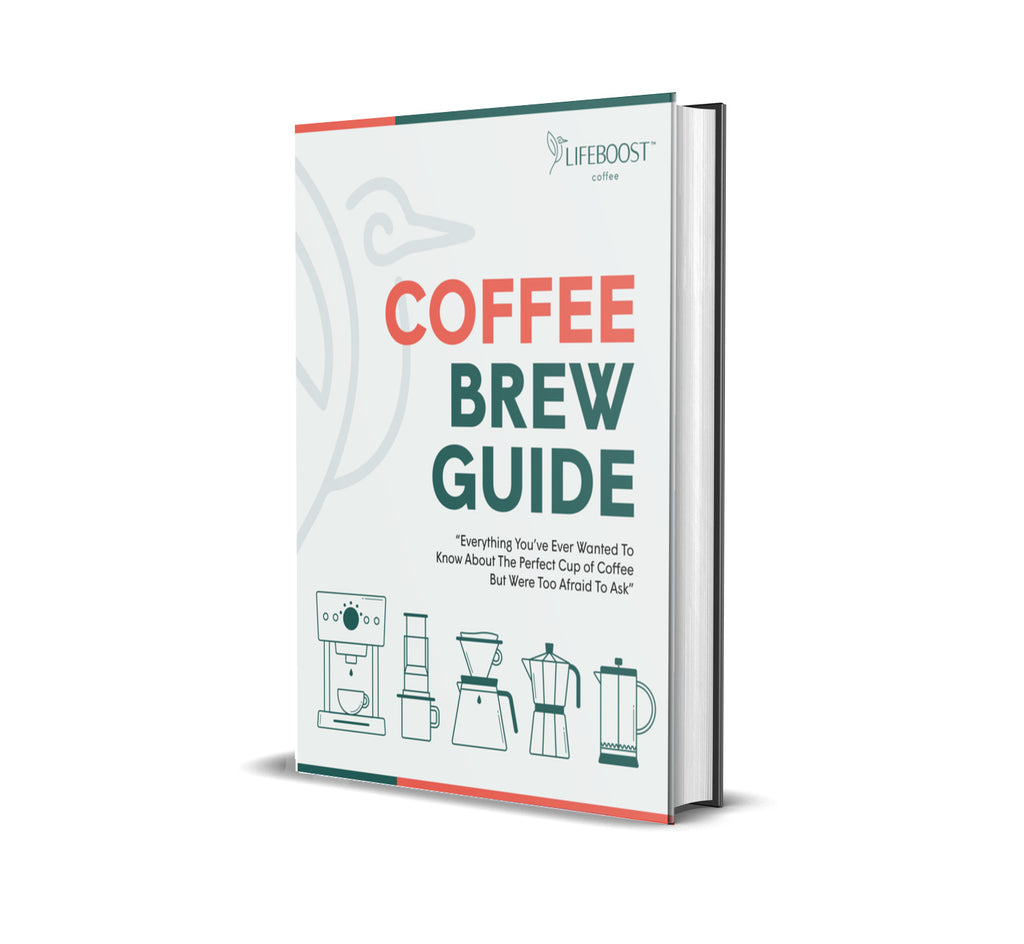 Coffee Brew Guide