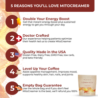 New Mito Creamer
