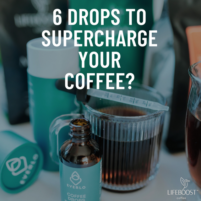 EverLo Coffee Drops - Lifeboost Coffee