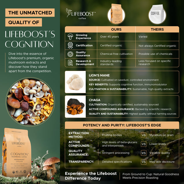 Wellness Wake-Up Coffee & Creamer Duo - Lifeboost Coffee