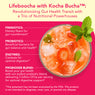 Strawberry Lemonade Lifeboocha - Lifeboost Coffee