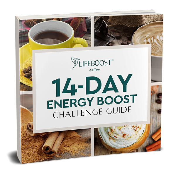 14-Day Energy Challenge Ebook