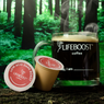Dark Roast Coffee Pods - Lifeboost Coffee