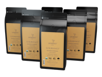 Blonde Espresso