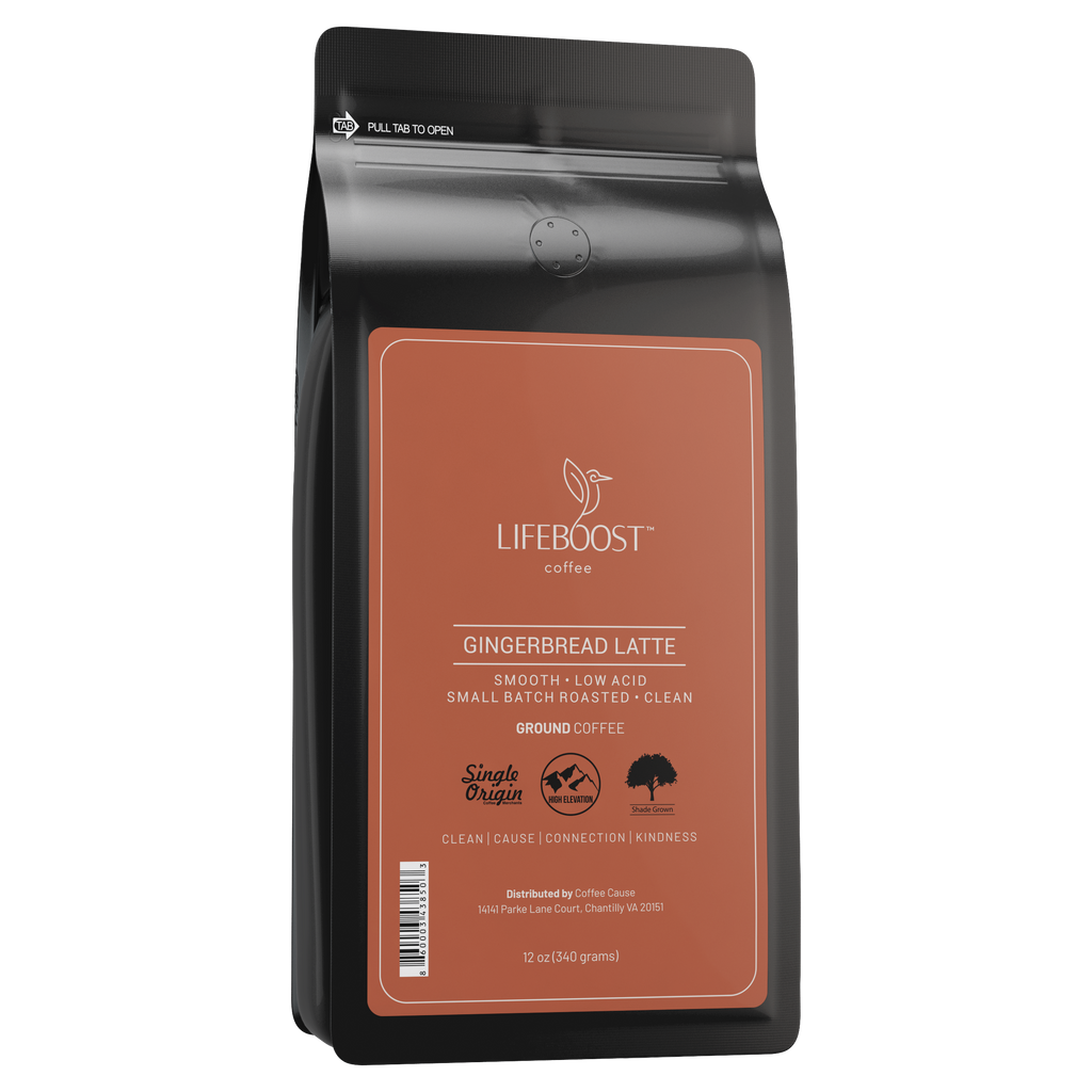 Lifeboost_GingerbreadLatte_Gr_