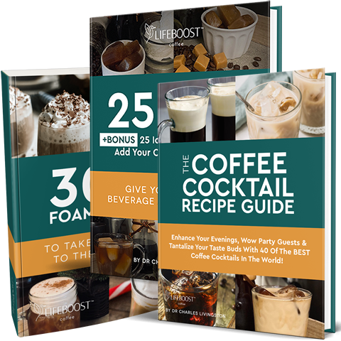 25 Ice Cube Recipes 30 Cold Hot Foam Toppers 40 Cocktail Recipes Digital Recipe Books