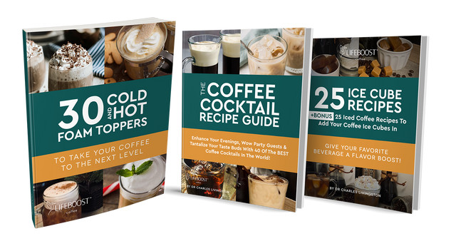 25 Coffee Ice Cube Recipes, 30 Cold And Hot Foam Toppers and 40 Coffee Cocktail Recipes - Digital Recipe Books - Lifeboost Coffee