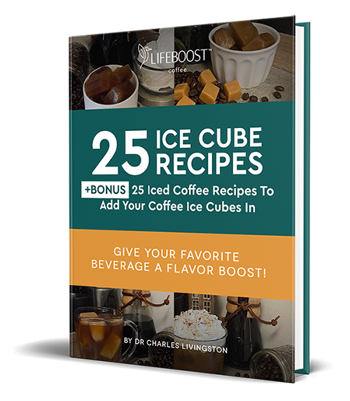 25 Ice Cube Recipes Digital Recipe Book